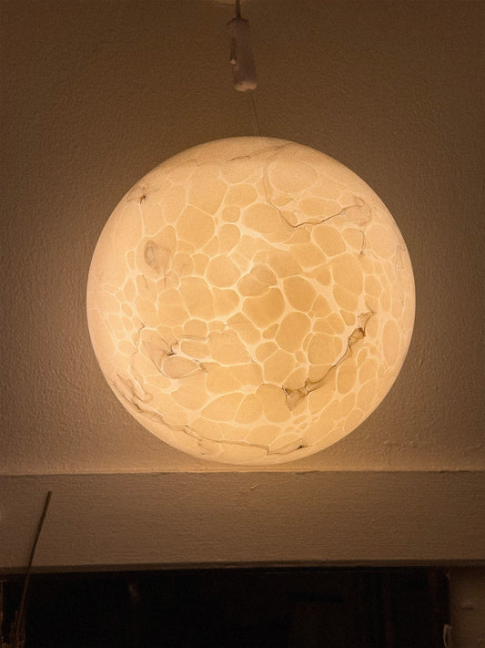 Paloceras at other circle Copenhagen 2026