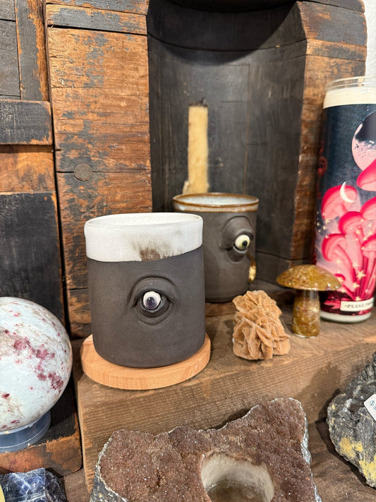 Paloceras at EYECON 2026