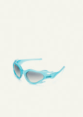 Hydroceras Cryosea G